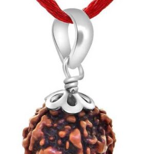 5 Mukhi Lab Certified Nepali Rudraksha Pendant