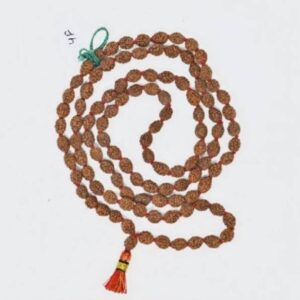 14 mukhi rudraksha nepali pendant 100% pure men and wom