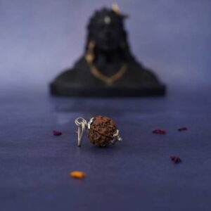 Certified Natural 8 Mukhi 8 Face Rudraksha Bead Small