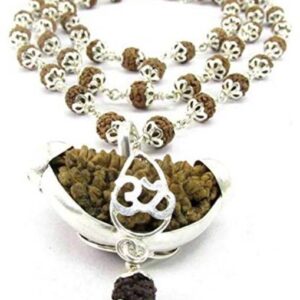11 Mukhi Pure Rudraksha, Laboratory Certified Wood