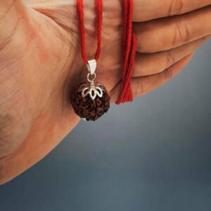 Shank Double Rudraksha With Para Brass Gold Plated Ring