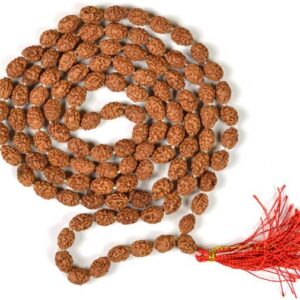4 Mukhi Nepali Rudraksha - Chaar Mukhi Fabric Necklace