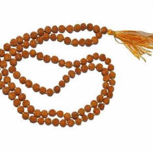 8 Mukhi Natural Lab Certified 100% Original