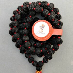 Original Panchmukhi Rudraksh for locket mens,womesn,