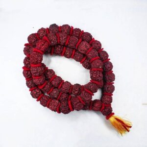 Rudraksha Mala (Lab Tested with Certificate): Energize