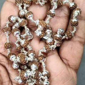 Original 5 Mukhi Nepali Rudraksha Five Face Rudraksh