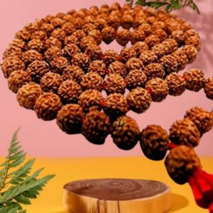 Seven Mukhi Rudraksha Certified/Original 7 Mukhi Rudrak