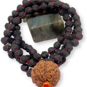 Rudraksh Pendent With Chain Metal Pendant