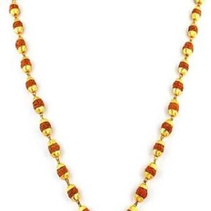 5 Mukhi Rudraksha Nepali Certified Silver Wood Pendant