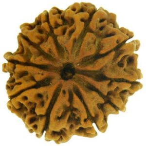 Rudraksha Mala Jaap Mala 108 Beads Brass Plated Brass