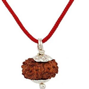 Natural 5 face Rudraksha Mala 8 mm size for wearing and