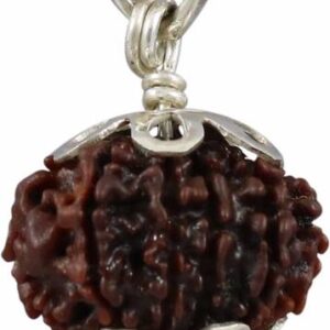 Rudradivine Gauri Shankar Rudraksha from Nepal