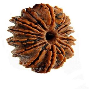 100% Tested Tulsi Japa Mala Basil Garland (108+1 Bead)