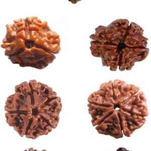 5 Mukhi Rudraksha Combo Crystal