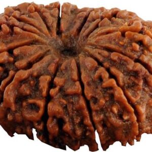 Rudraksha Mala (Lab Tested with Certificate): Energize