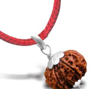 5 Mukhi Nepali 16–20mm Lab Certified Pendant