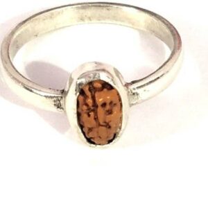 14 Mukhi Rudraksha Original Certified Rudraksha with