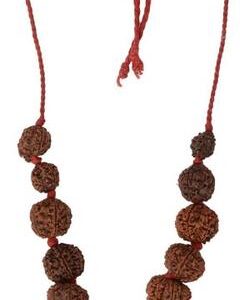 5 Mukhi Rudraksha Combo Crystal
