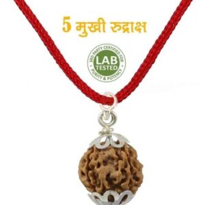 Mahakal Locket with Rudraksha Mala, Trishul Damru Penda