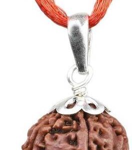 Rudraksha Mala |108 Beads for Meditation &Spiritual