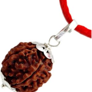 5 Mukhi Rudraksha Pendant Lab Certified Nepali Rudraksha
