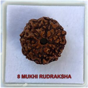 5 Mukhi Rudraksha With Lab Certified, Wood Pendant