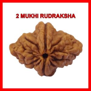 Authentic 5 Mukhi Rudraksha Enhance Meditation, Health