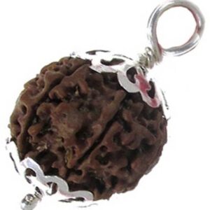 5 Mukhi Rudraksha Pendant Lab Certified Nepali Rudraksh