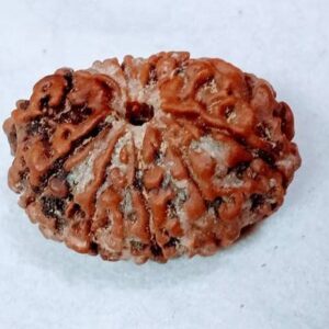 Original Panchmukhi Rudraksh for locket mens,womesn,uni