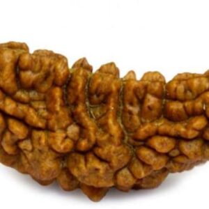 15 Mukhi Nepali 100% Pure Wood Pendant