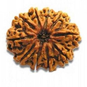 Original Panchmukhi Rudraksh Locket