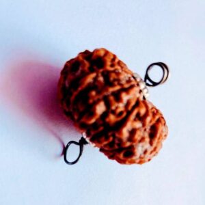 5 Mukhi Nepali Certified Wood Pendant