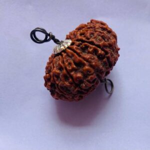 5 Mukhi Rudraksha Combo Crystal
