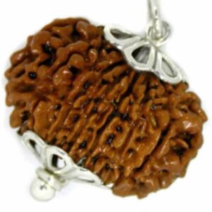 5 Mukhi Rudraksha Nepali Certified Silver Wood Pendant