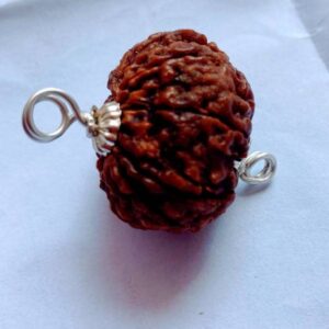 Four Face 4 Mukhi Nepali Rudraksha