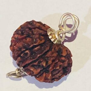 7 Mukhi Lab Certified Rudraksha Nepal Origin