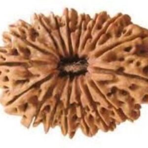 Rudraksha Mala (Lab Tested with Certificate)