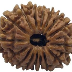 Rudraksha Mala (Lab Tested with Certificate): Energize