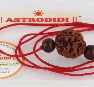 Religious Shiv Trishul Rudraksha Locket With Chain Ster