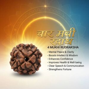 3 Mukhi Rudraksha Original Certified Lab Test & X-ray