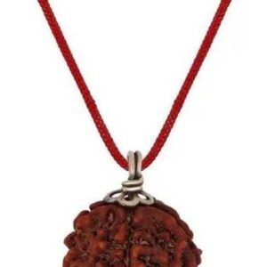 Original Panchmukhi Rudraksh Locket