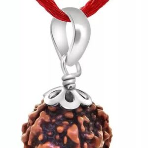 5 Mukhi Rudraksha Certified Nepali Bead Pendant
