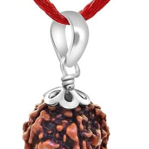 6 Mukhi Rudraksha Lab Certified Pure Silver Cap Locket