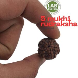 Rudraksha Necklace | 54 Beads | Silver Coated