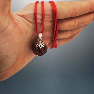 Locket 5 Mukhi / 5 Face Rudraksha Original Certified