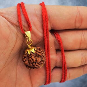 Authentic 5 Mukhi Rudraksha Enhance Meditation, Health