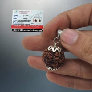 Premium 5 Mukhi Nepali Rudraksha Bead Lab Certified