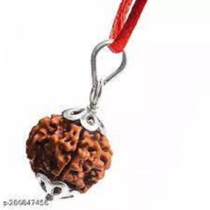 Gauri Shankar Rudraksha Shiv Parvati Rudraksha Original