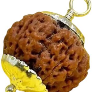 1 Mukhi Rudraksha with Silver Capping – Certified