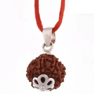 5 Mukhi Nepali Five Face Rudraksha Original